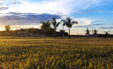 Campo