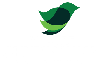 Solar de Chupinguaia